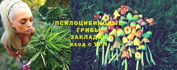 метадон Приозерск