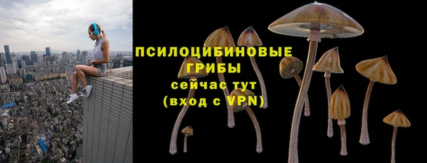 PSILOCYBIN Протвино