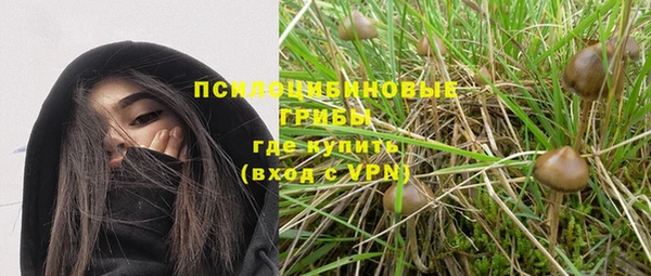СК Арсеньев