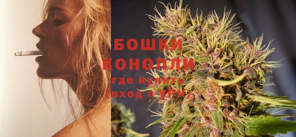 PSILOCYBIN Протвино