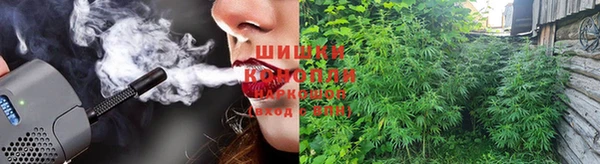 каннабис Аркадак