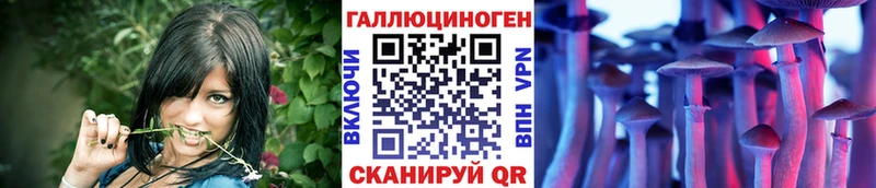 купить закладку  Багратионовск  Галлюциногенные грибы GOLDEN TEACHER 